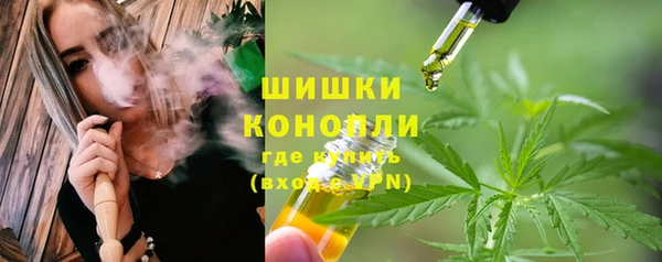прущие крисы Арсеньев