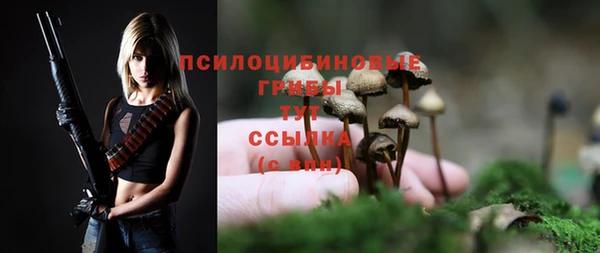 прущие крисы Арсеньев