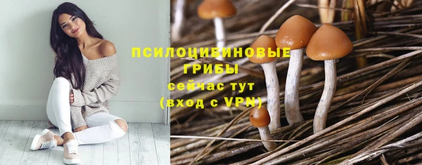 прущая мука Армянск