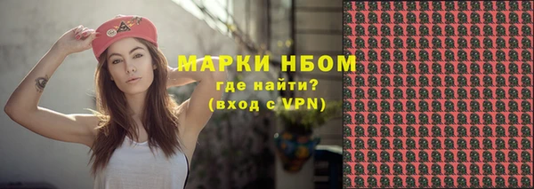 хмурый Алексин