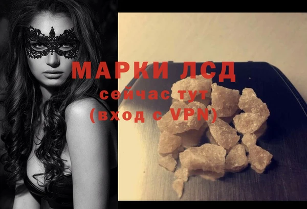 трава Ессентукская